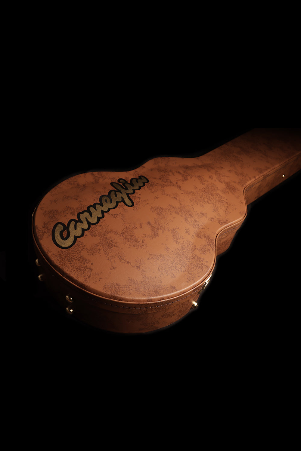 Carneglia Guitar Case Exterior