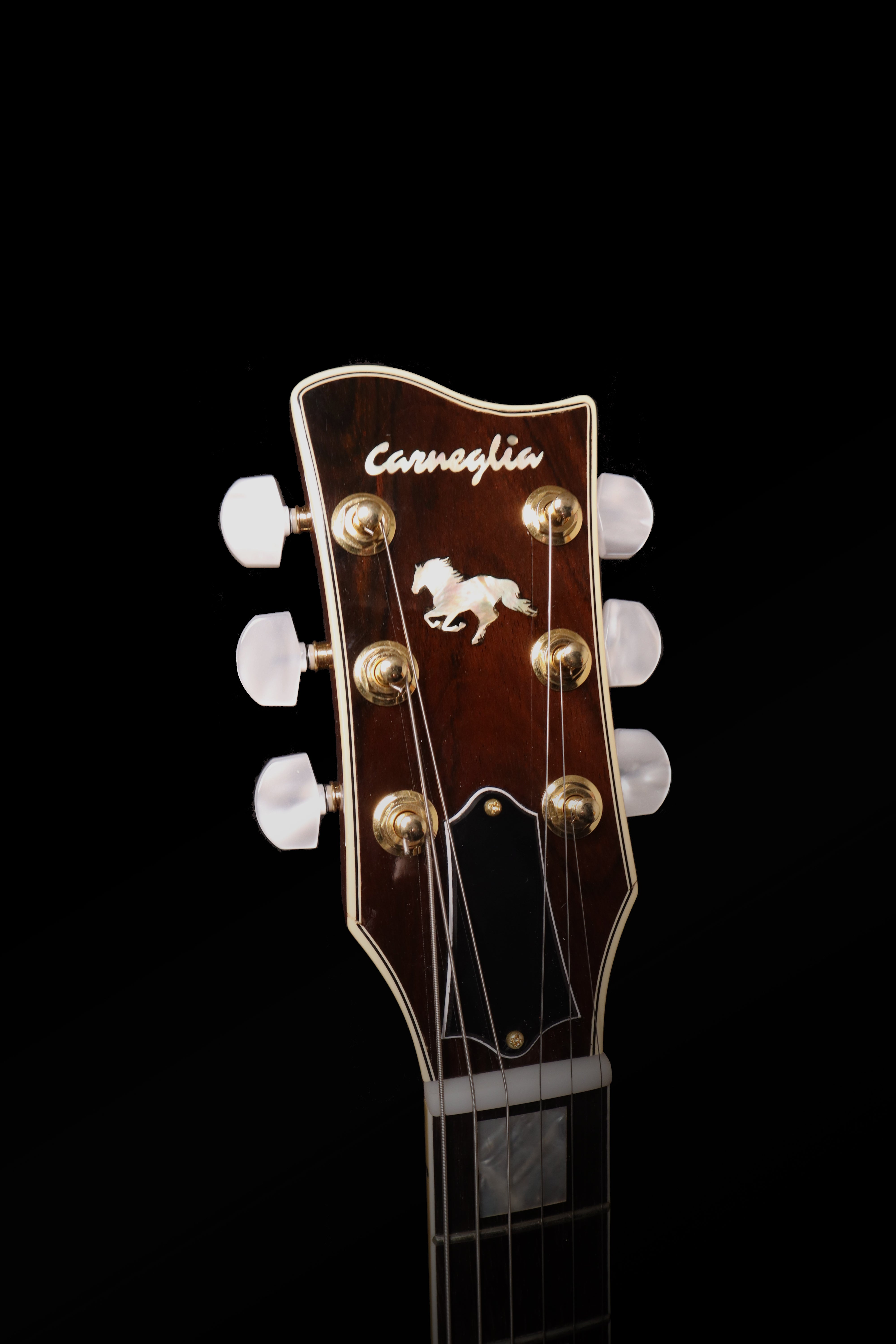 Carneglia Master Series Stallion Standard Electric Guitar with Brazilian Rosewood - Mauve Burst