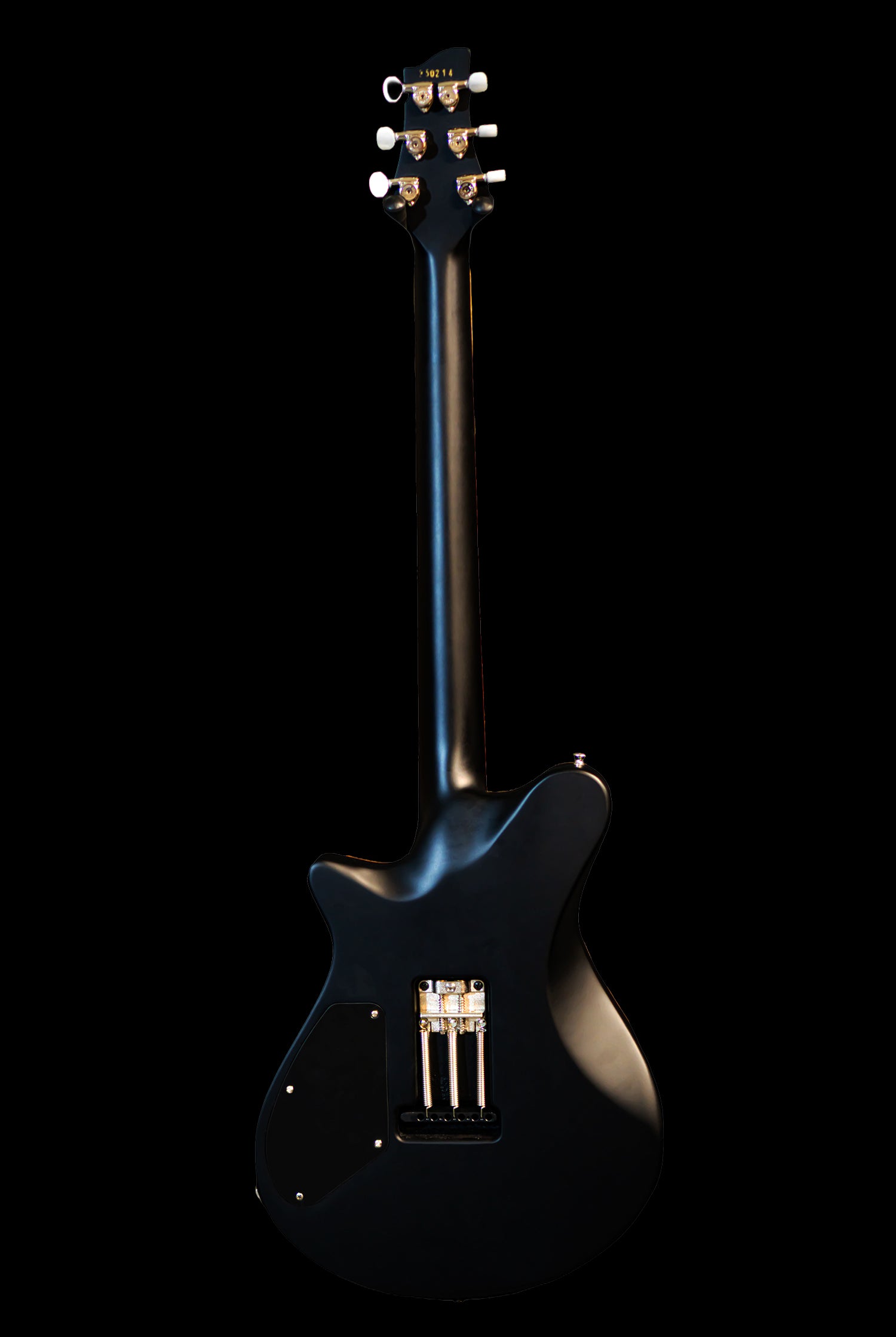 Carneglia Custom Shop Sublime Electric Guitar - Ebony