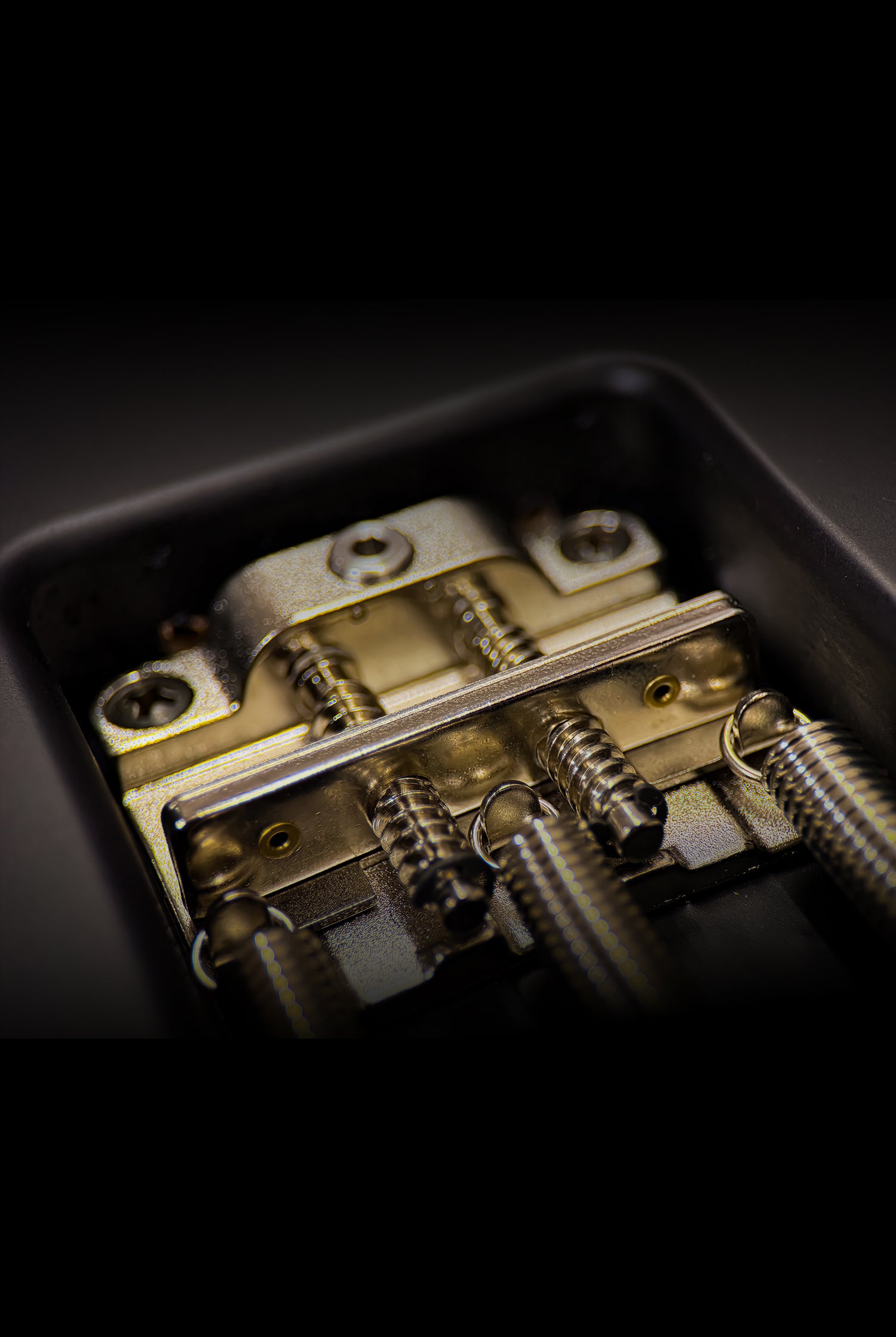 Carneglia Custom Shop Sublime Electric Guitar - Ebony