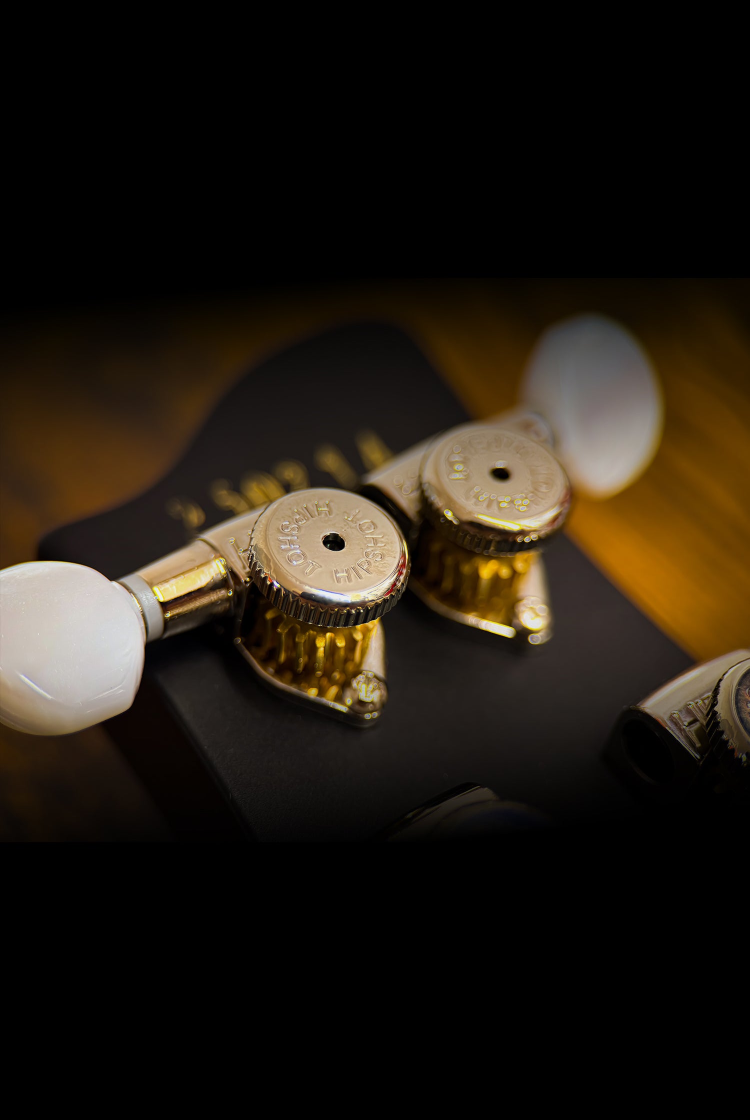 Carneglia Custom Shop Sublime Electric Guitar - Ebony