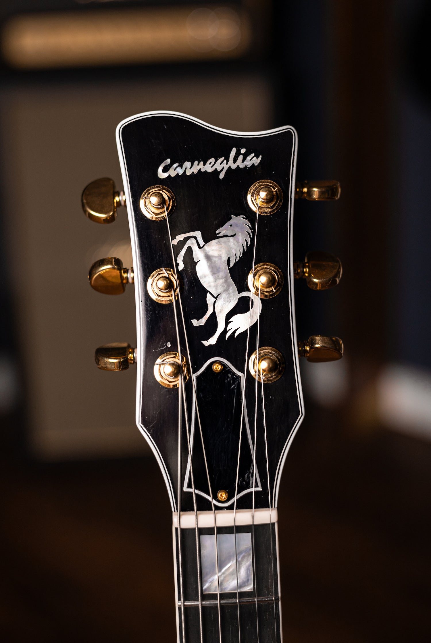 Carneglia Custom Shop Stallion Custom P-90 Wraparound Electric Guitar with Ebony Fretboard - Ebony