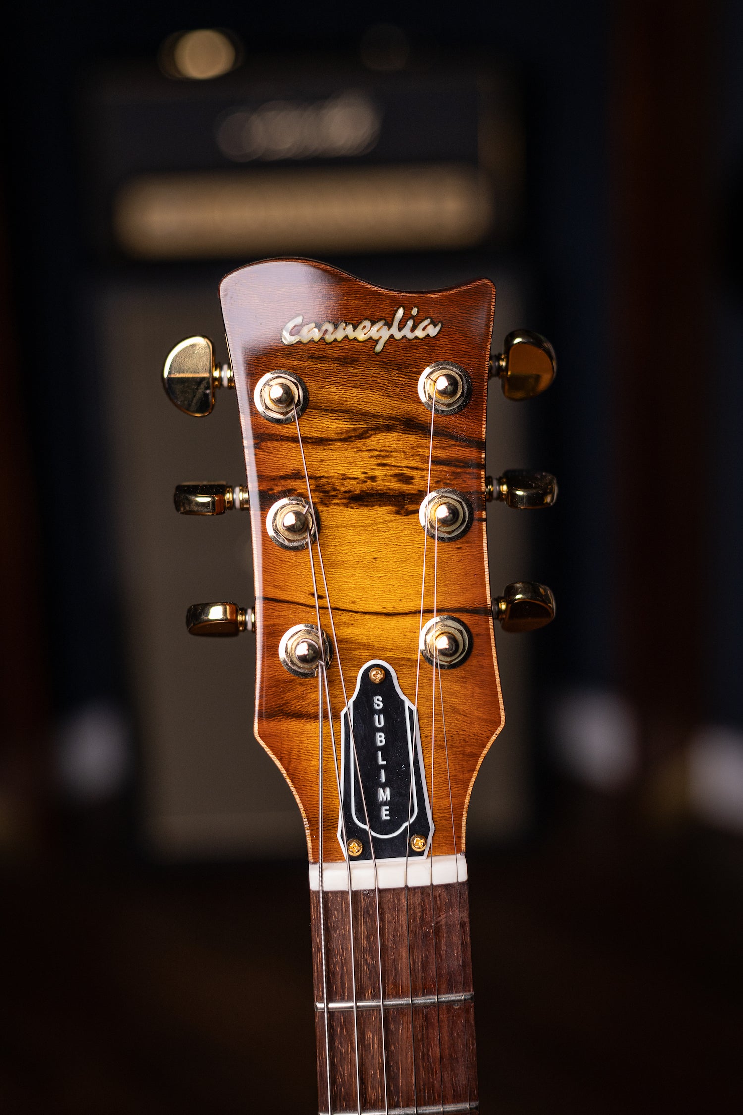 Carneglia Custom Shop Sublime Spalted Top Electric Guitar with Brazilian Fretboard - Honey Burst