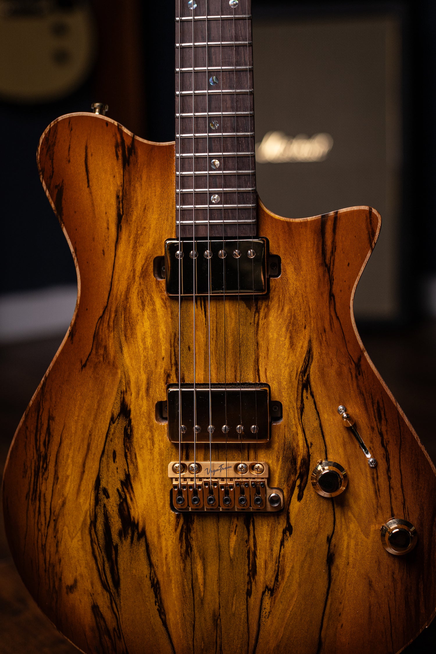 Carneglia Custom Shop Sublime Spalted Top Electric Guitar with Brazilian Fretboard - Honey Burst