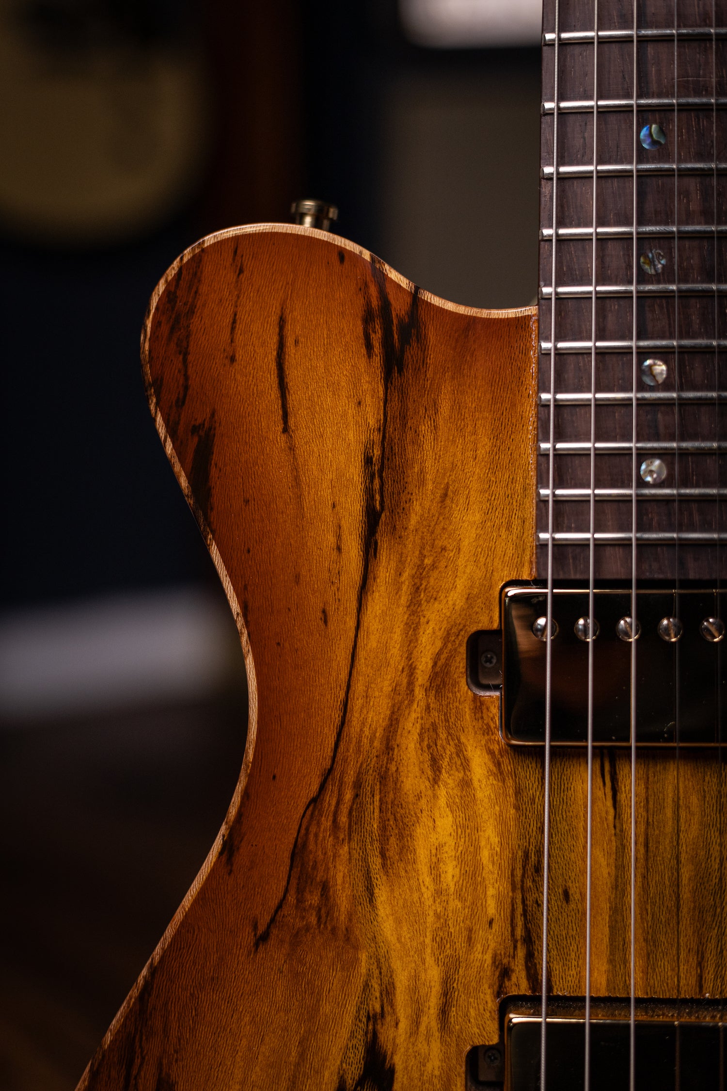 Carneglia Custom Shop Sublime Spalted Top Electric Guitar with Brazilian Fretboard - Honey Burst