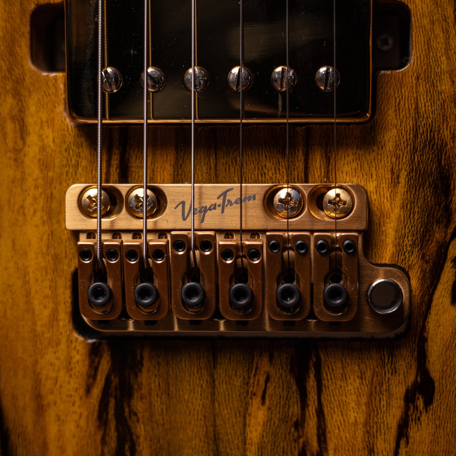 Carneglia Custom Shop Sublime Spalted Top Electric Guitar with Brazilian Fretboard - Honey Burst