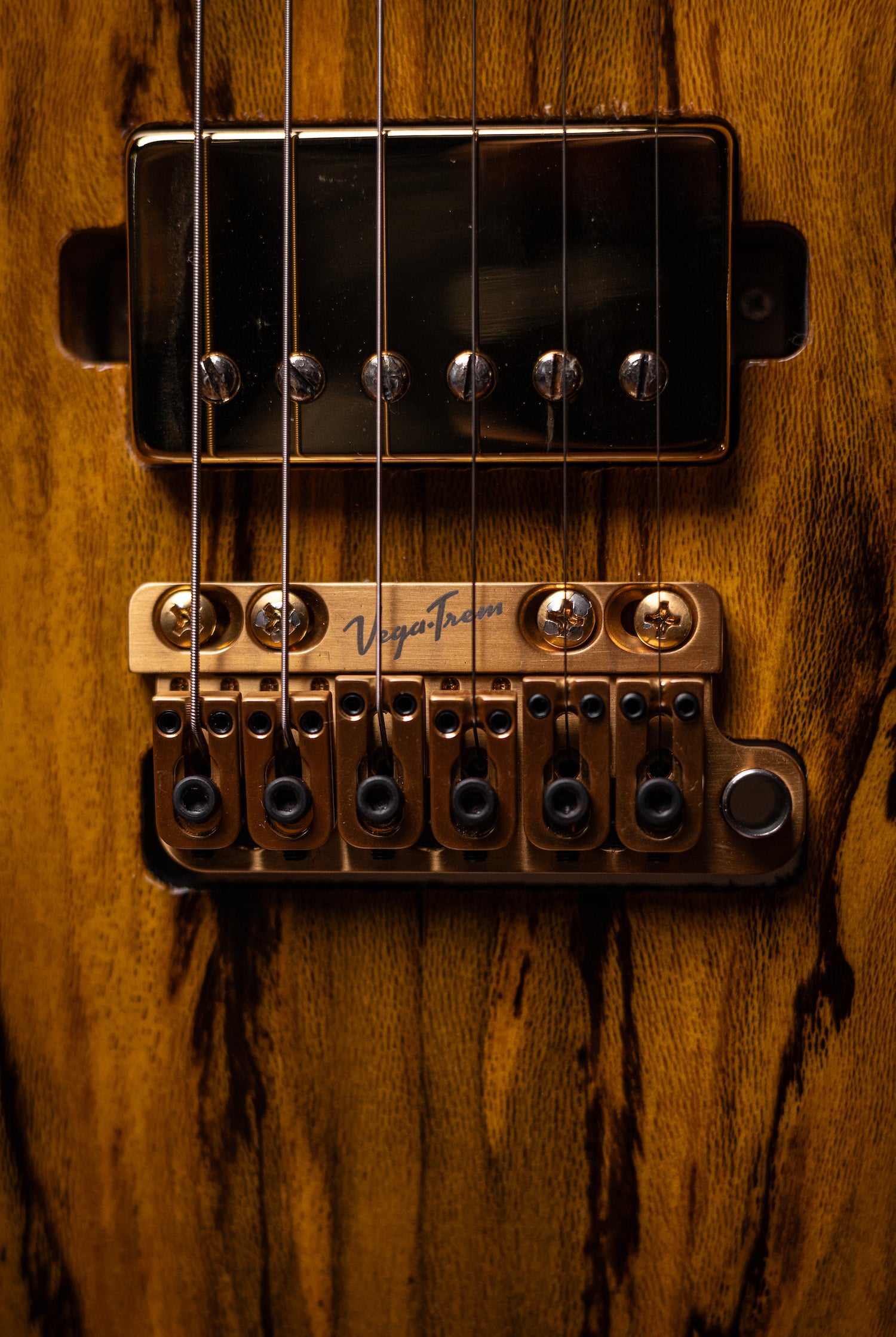 Carneglia Custom Shop Sublime Spalted Top Electric Guitar with Brazilian Fretboard - Honey Burst