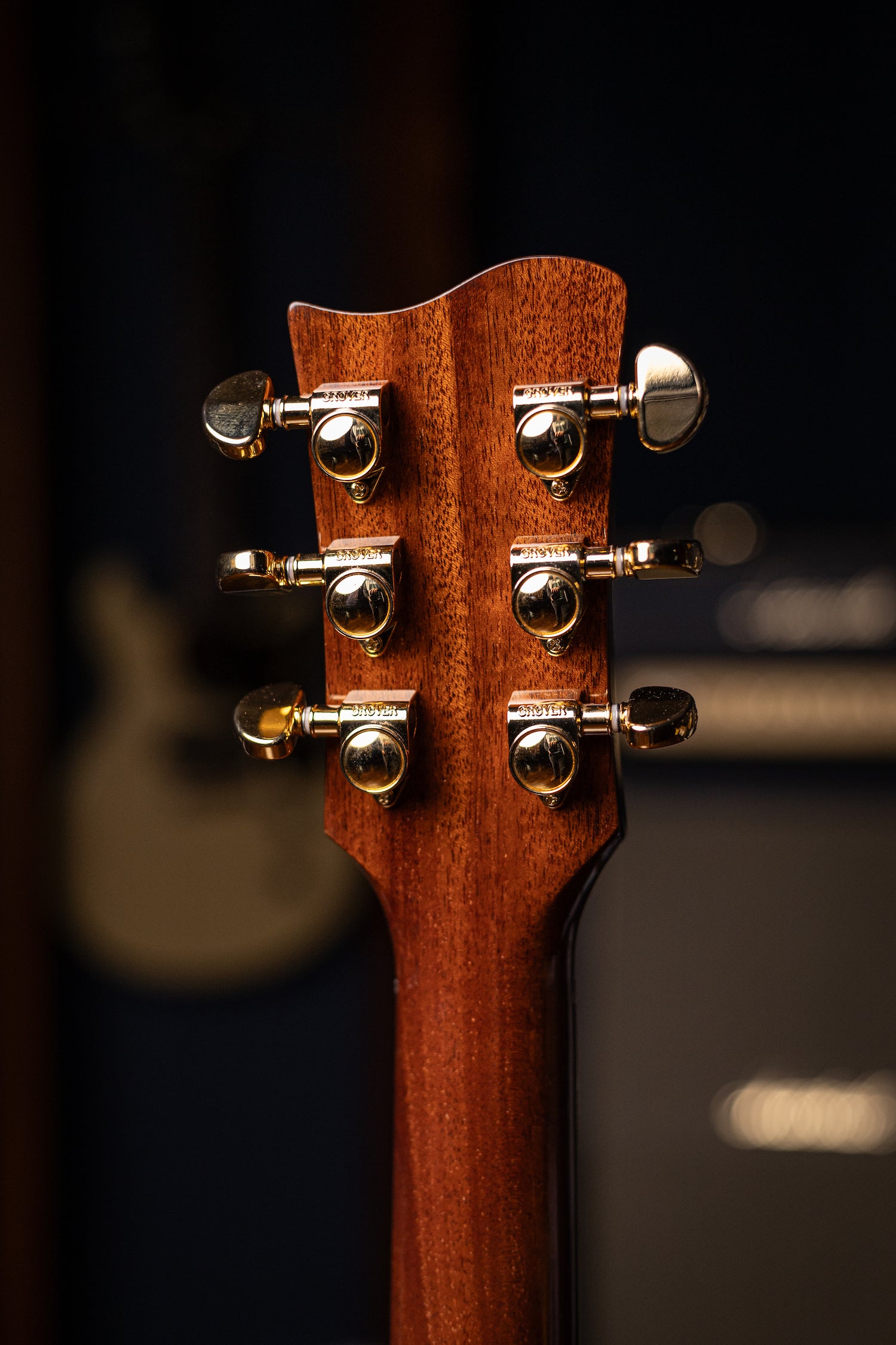 Carneglia Custom Shop Sublime Spalted Top Electric Guitar with Brazilian Fretboard - Honey Burst