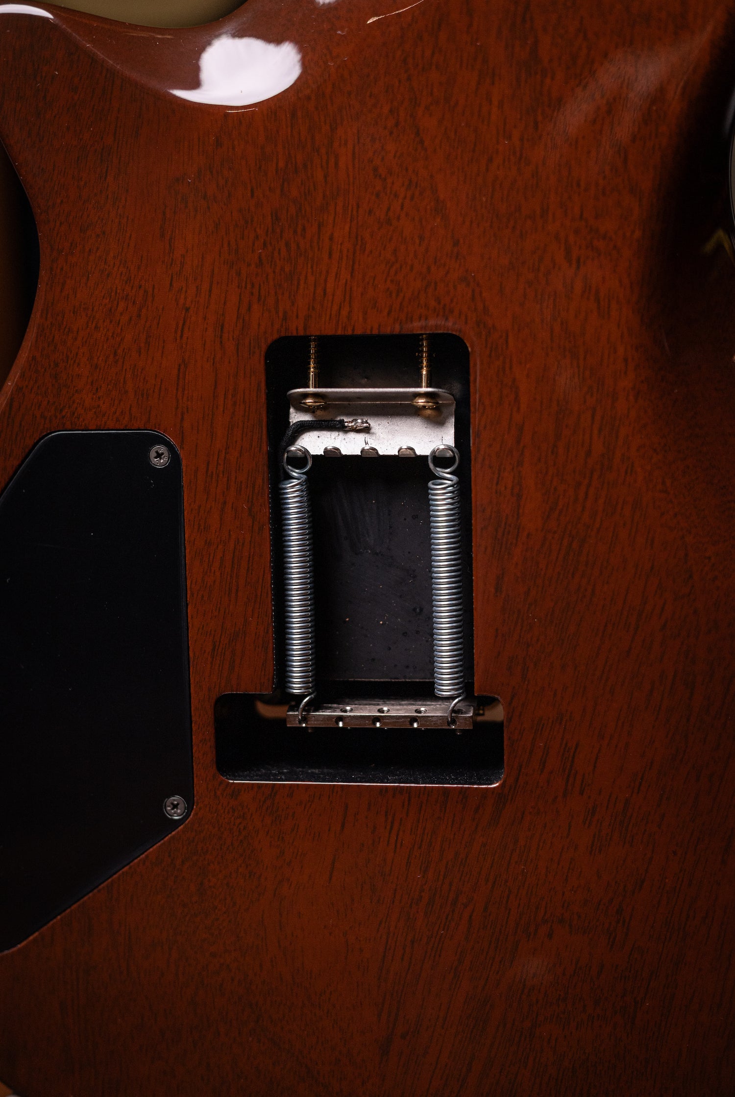 Carneglia Custom Shop Sublime Spalted Top Electric Guitar with Brazilian Fretboard - Honey Burst