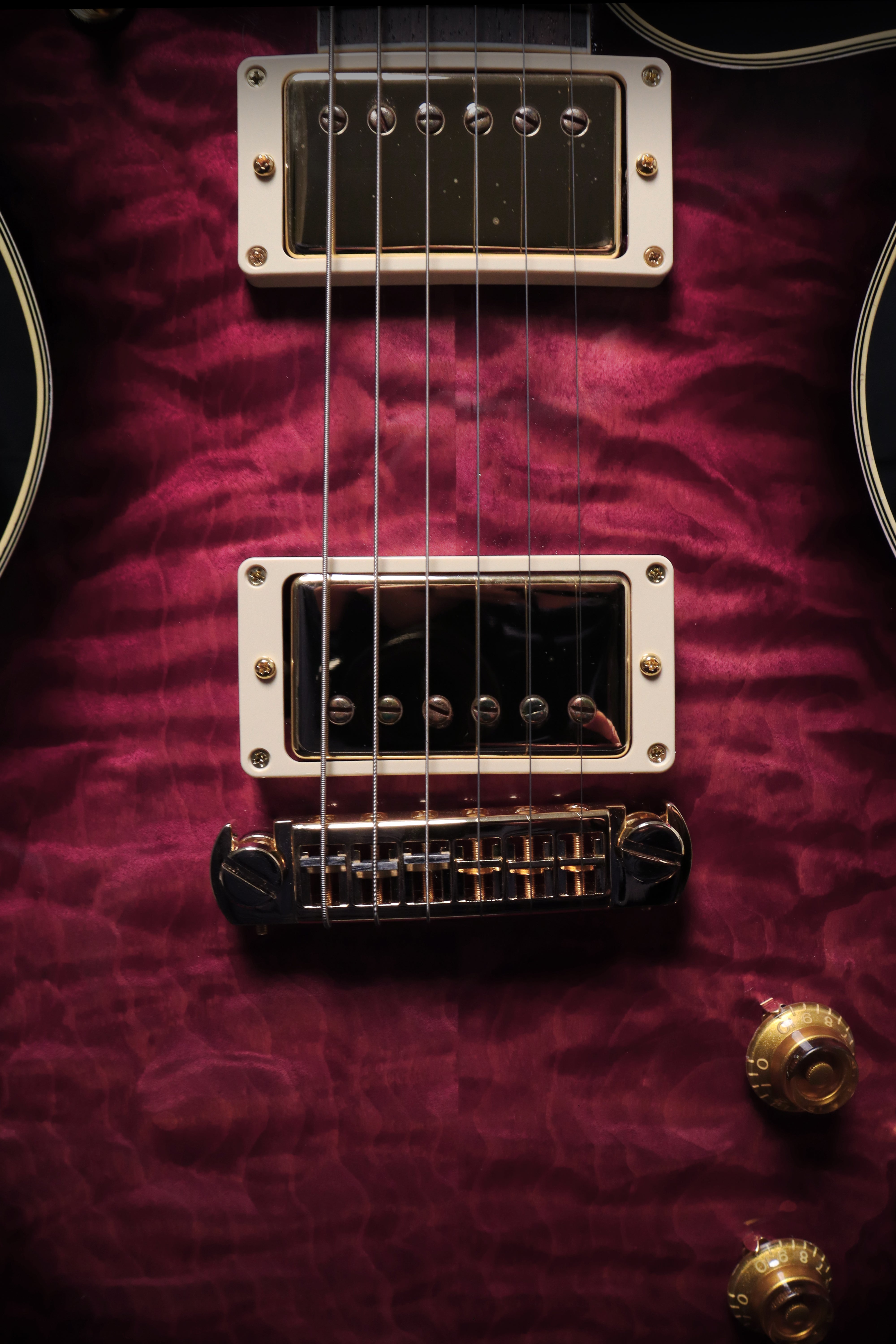 Carneglia Master Series Stallion Standard Electric Guitar with