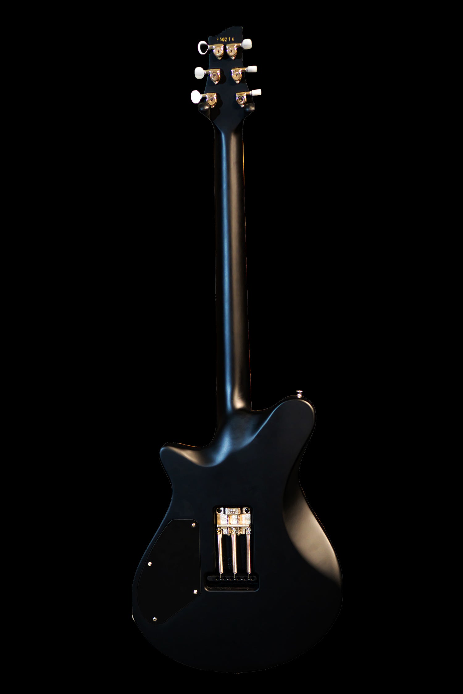 Carneglia Custom Shop Sublime Electric Guitar - Ebony