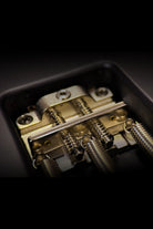 Carneglia Custom Shop Sublime Electric Guitar - Ebony