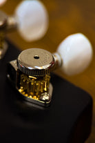 Carneglia Custom Shop Sublime Electric Guitar - Ebony