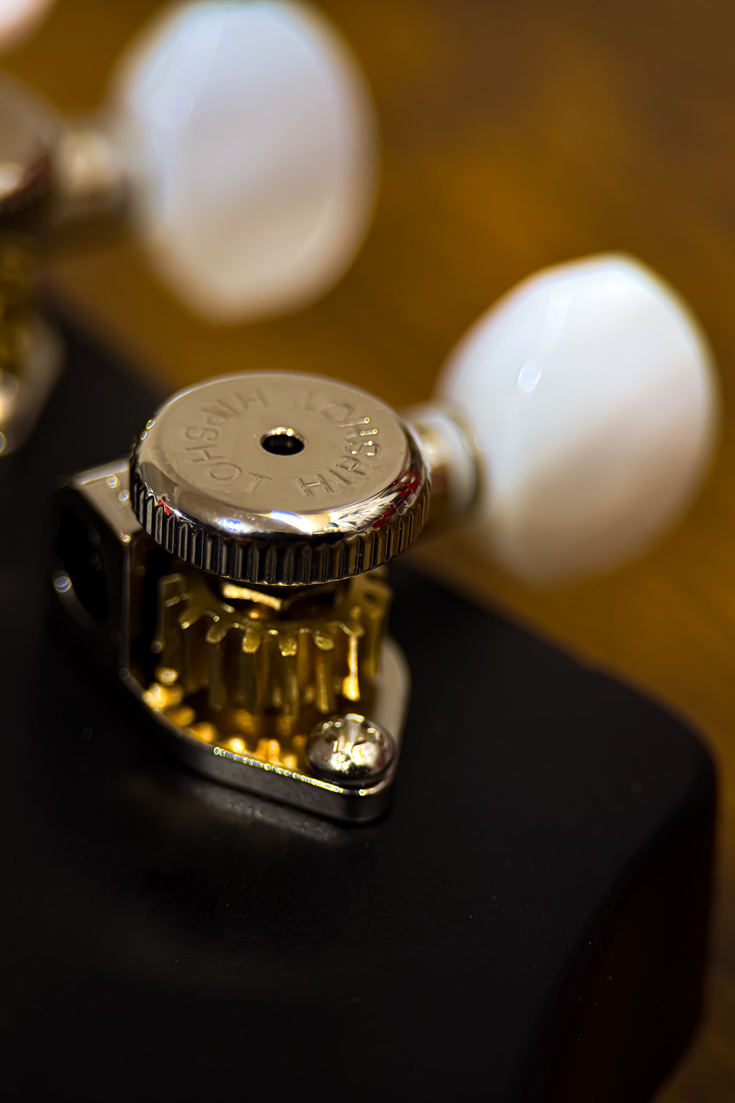 Carneglia Custom Shop Sublime Electric Guitar - Ebony