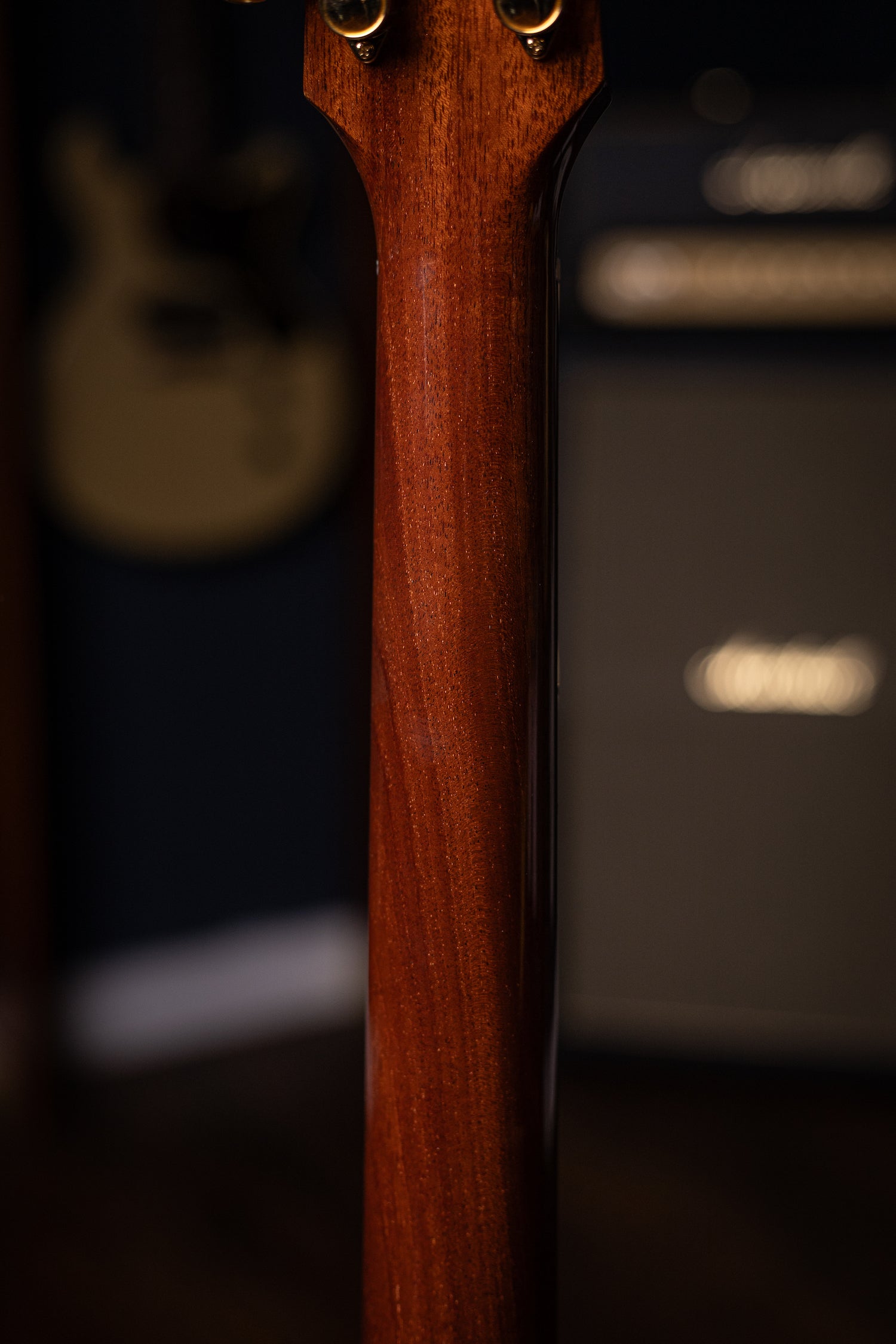 Carneglia Custom Shop Sublime Spalted Top Electric Guitar with Brazilian Fretboard - Honey Burst