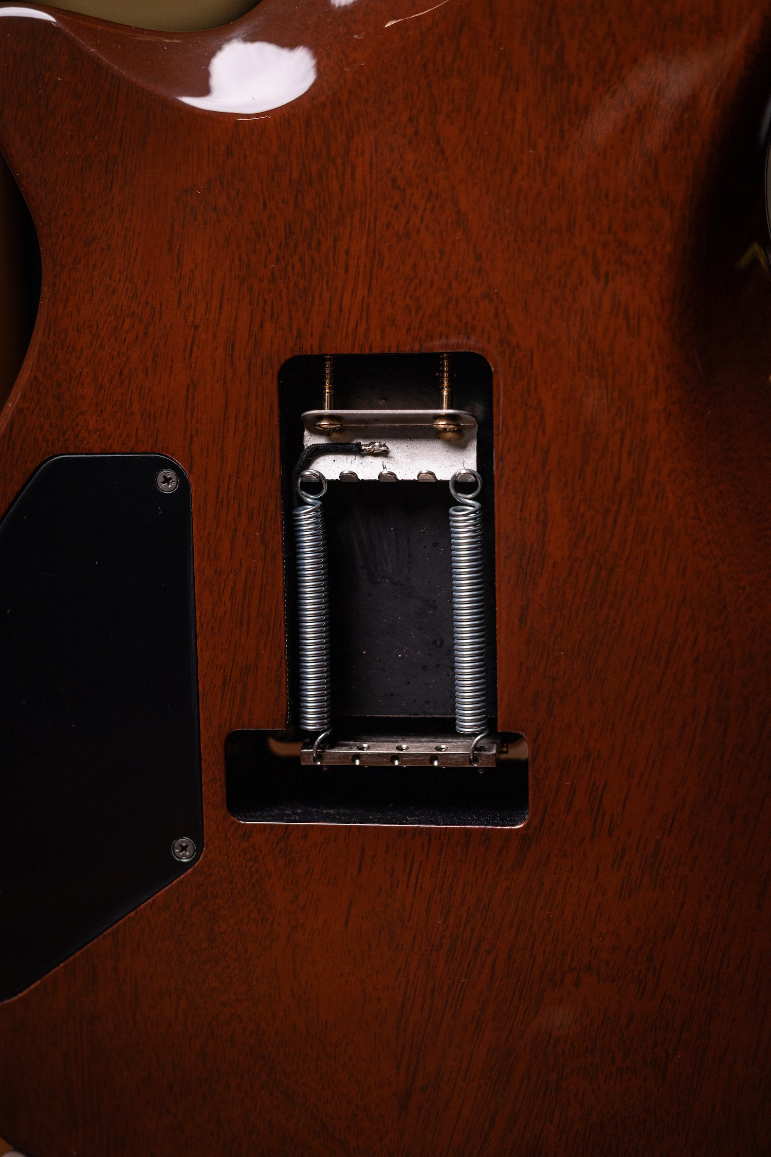 Carneglia Custom Shop Sublime Spalted Top Electric Guitar with Brazilian Fretboard - Honey Burst