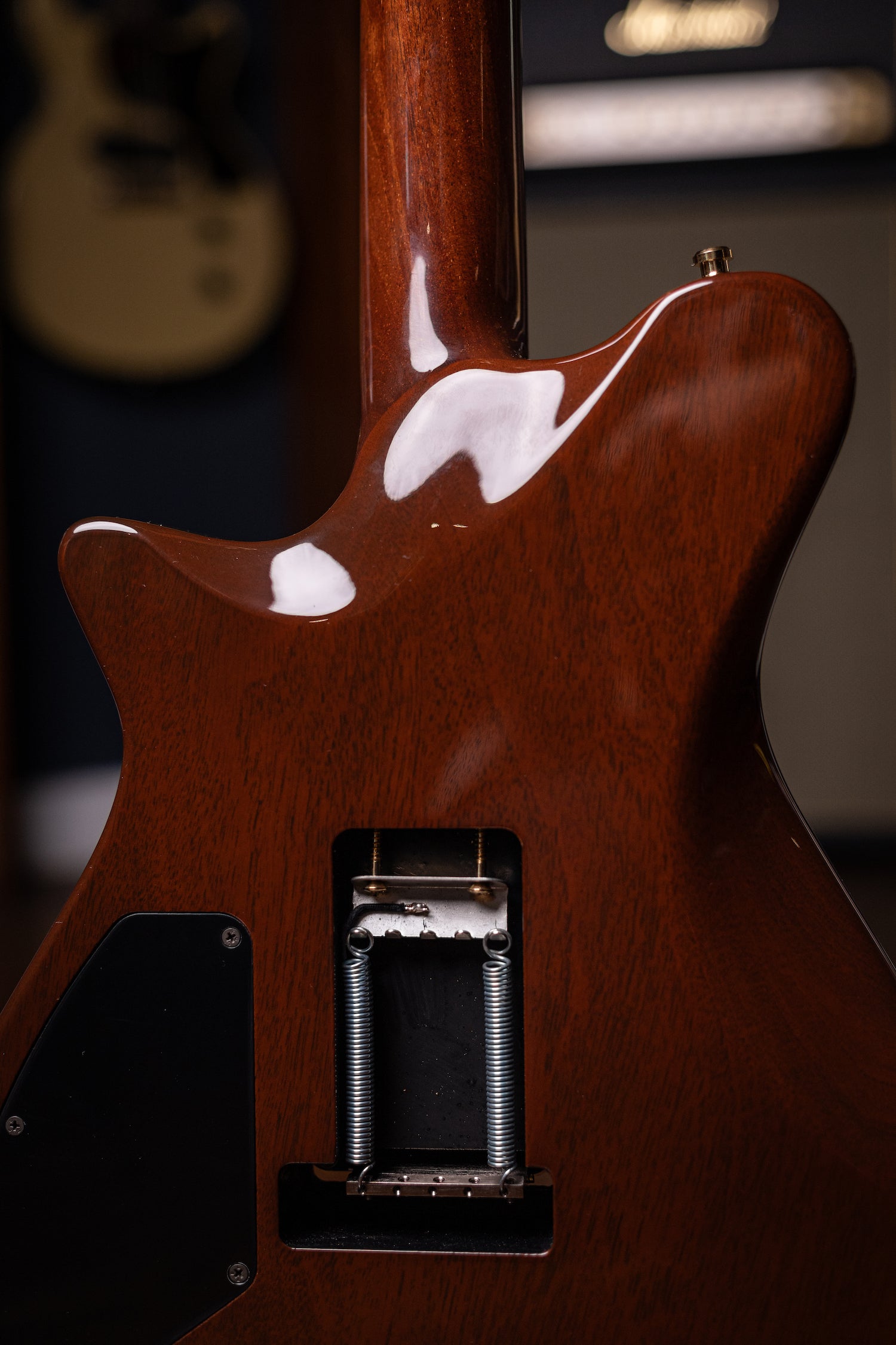 Carneglia Custom Shop Sublime Spalted Top Electric Guitar with Brazilian Fretboard - Honey Burst