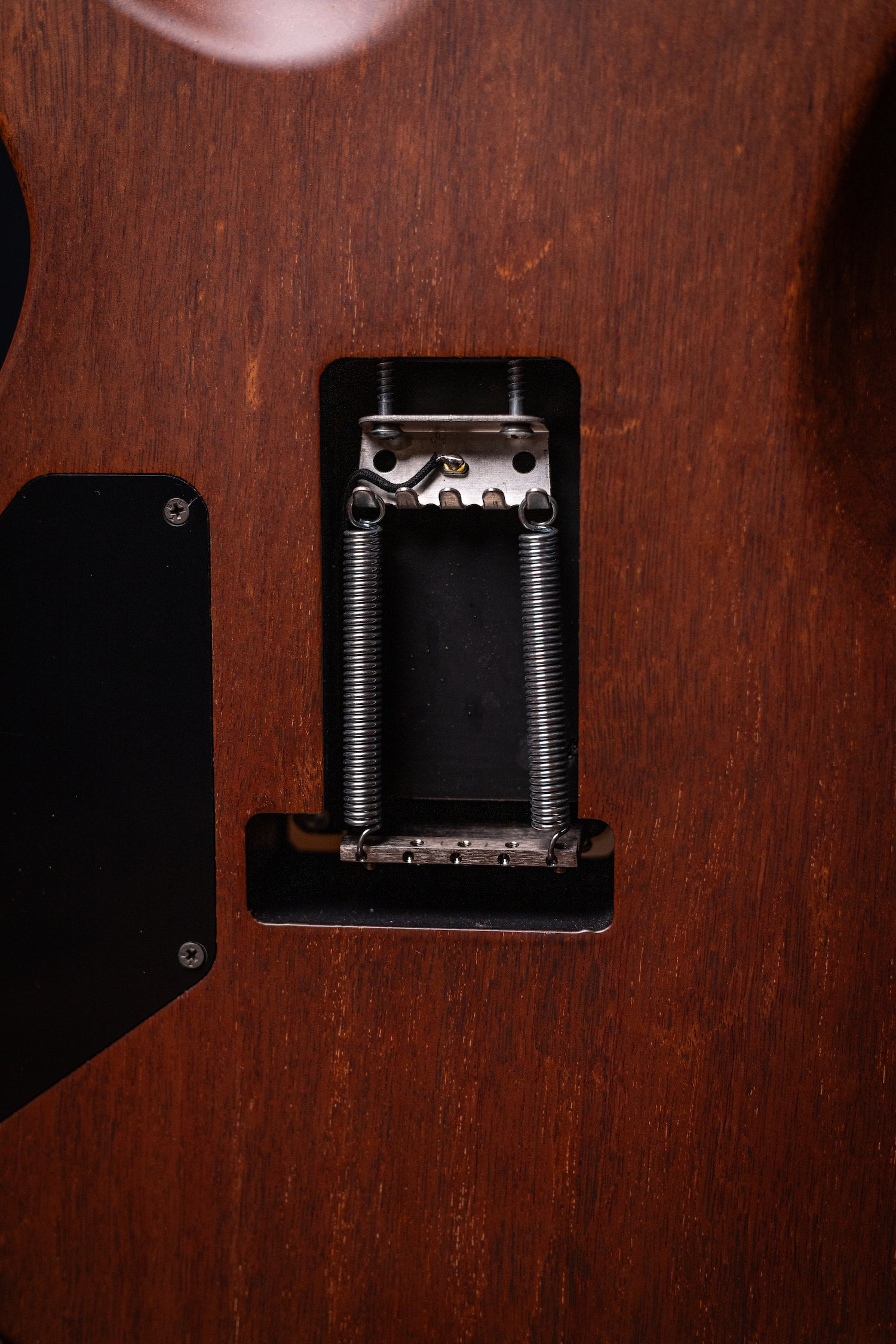 Carneglia Sublime Burl Top Electric Guitar with Brazilian Fretboard - Tobacco Burst